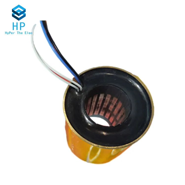 Encapsulated Coil